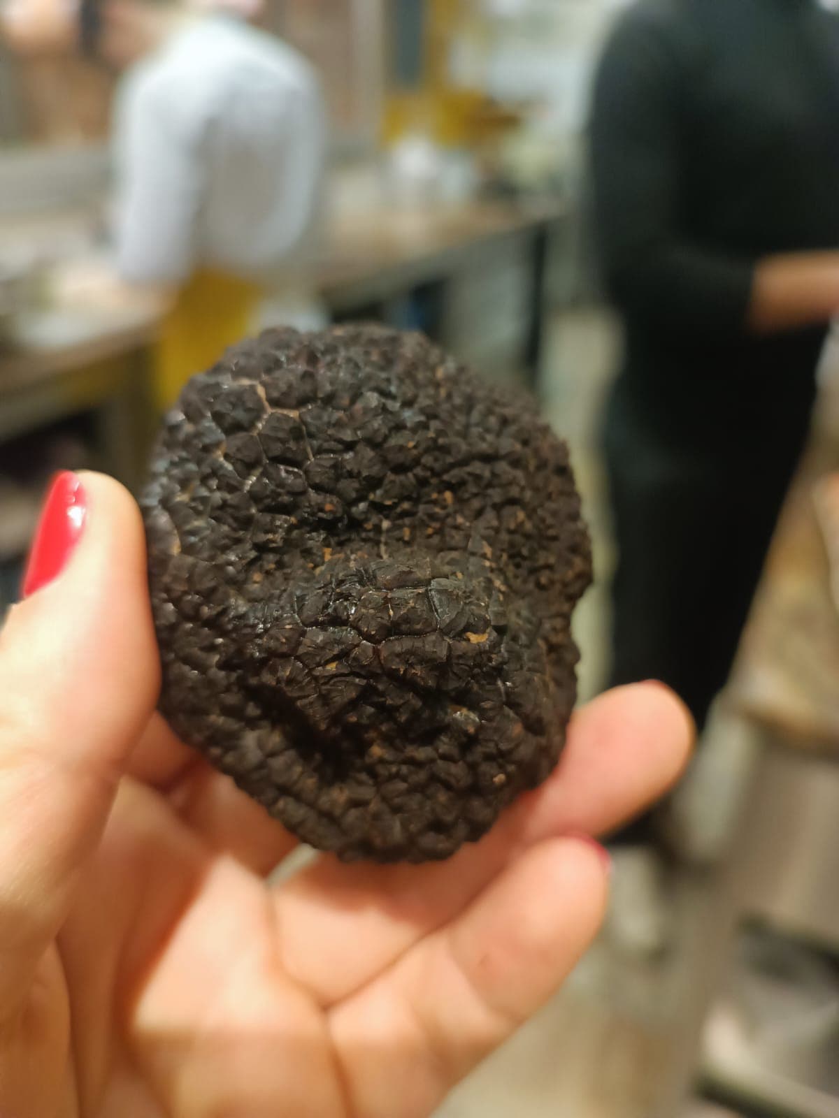 Une truffe dans la main