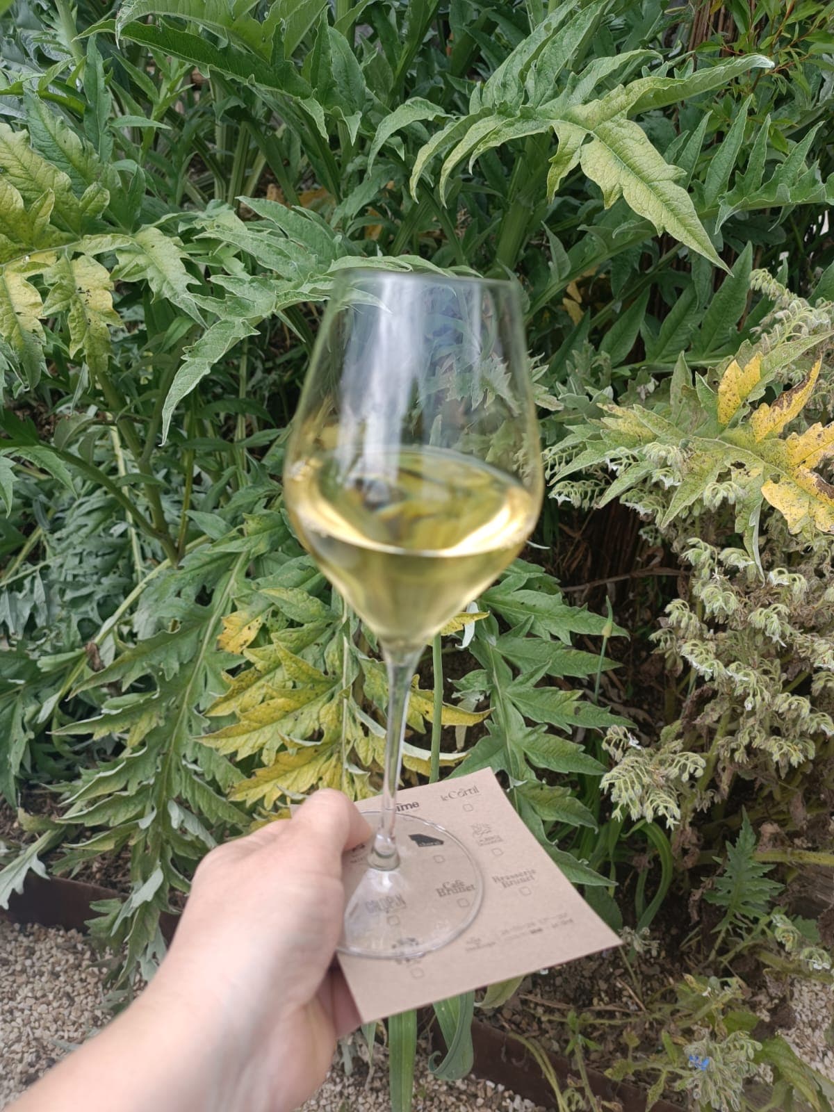 Un verre de blanc dans les artichauts